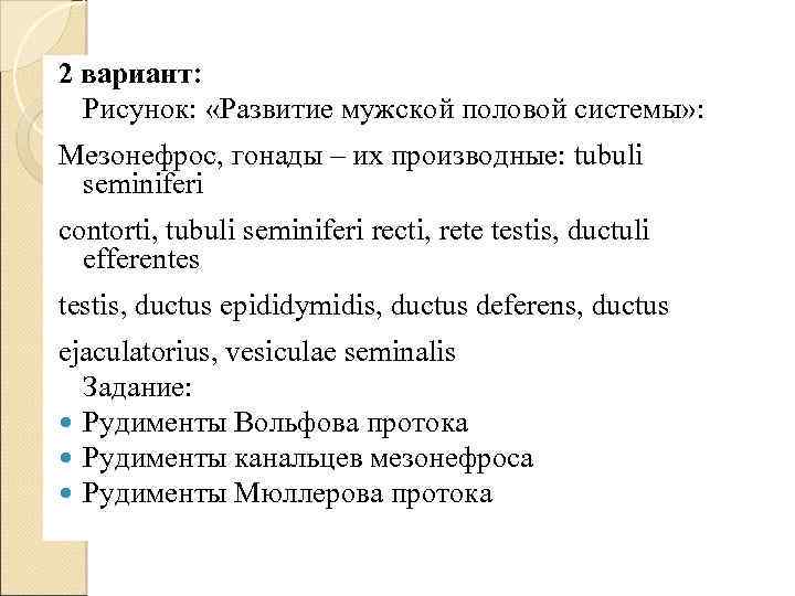 2 вариант: Рисунок: «Развитие мужской половой системы» : Мезонефрос, гонады – их производные: tubuli