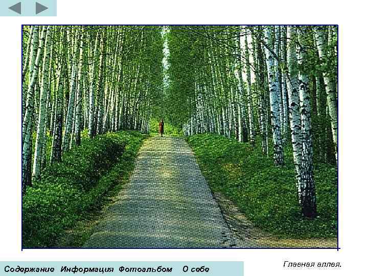 Содержание Информация Фотоальбом О себе Главная аллея. 