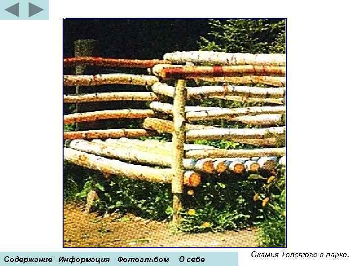 Содержание Информация Фотоальбом О себе Скамья Толстого в парке. 
