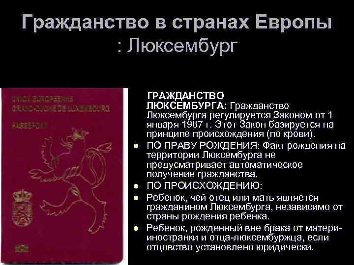 Граждан люксембург. Гражданство Люксембурга. Люксембург как получить гражданство.