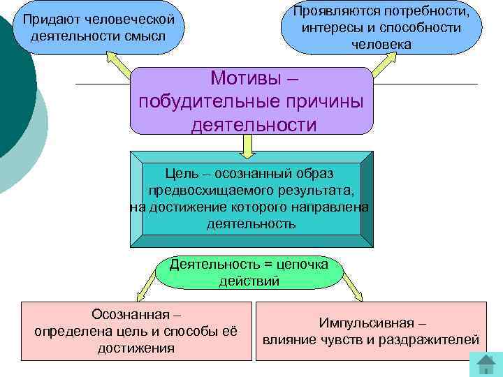 Придают человеческой деятельности смысл Проявляются потребности, интересы и способности человека Мотивы – побудительные причины