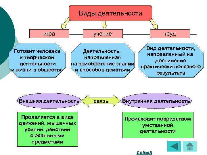 Виды деятельности игра Готовит человека к творческой деятельности и жизни в обществе учение труд