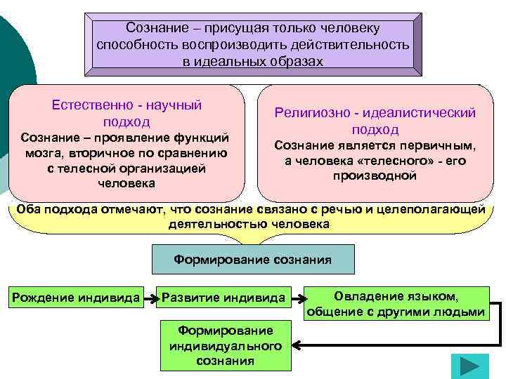 Сознание – присущая только человеку способность воспроизводить действительность в идеальных образах Естественно - научный