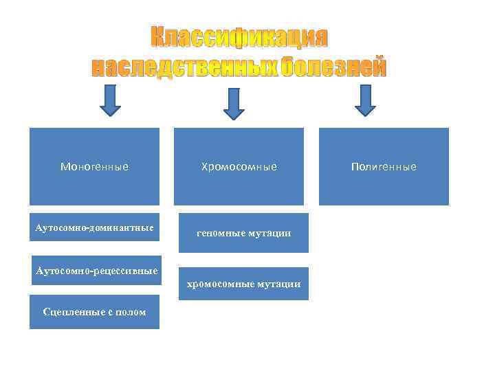   Моногенные  Хромосомные   Полигенные  Аутосомно-доминантные    