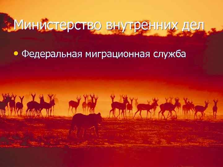 Министерство внутренних дел • Федеральная миграционная служба 
