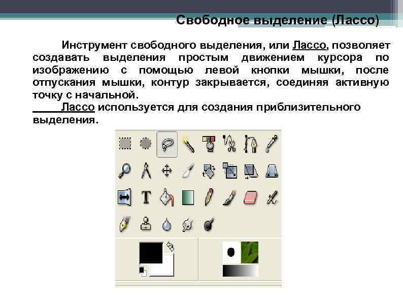 Свободное выделение (Лассо) Инструмент свободного выделения, или Лассо, позволяет создавать выделения простым движением курсора