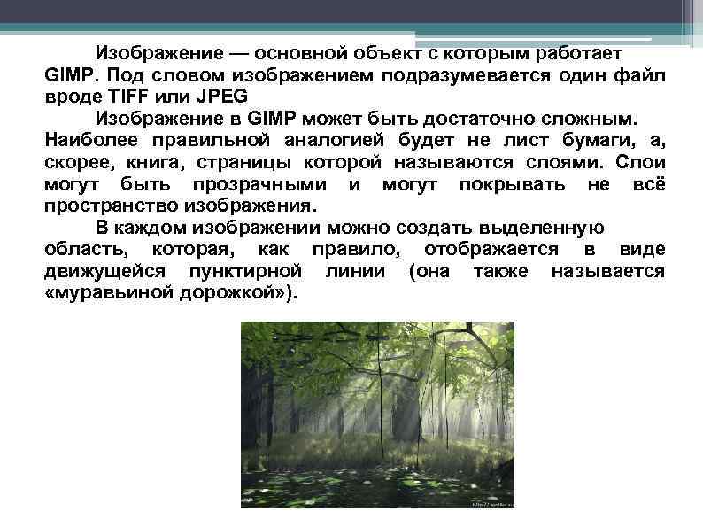 Изображение — основной объект с которым работает GIMP. Под словом изображением подразумевается один файл