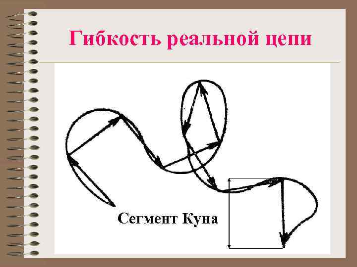 Гибкость реальной цепи Сегмент Куна 