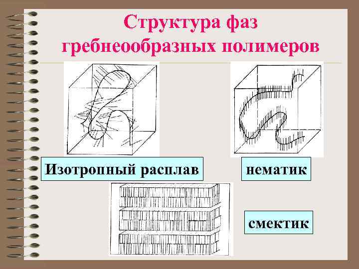 Структура фаз гребнеообразных полимеров Изотропный расплав нематик смектик 
