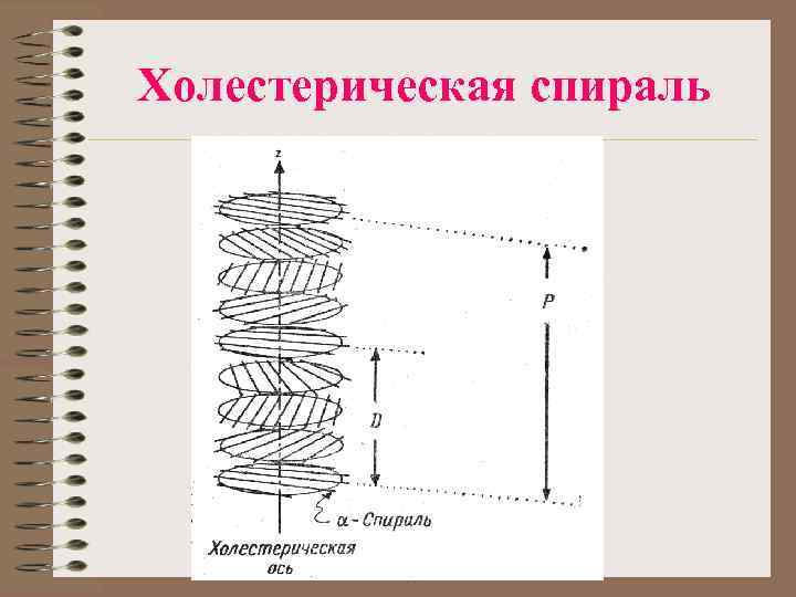 Холестерическая спираль 