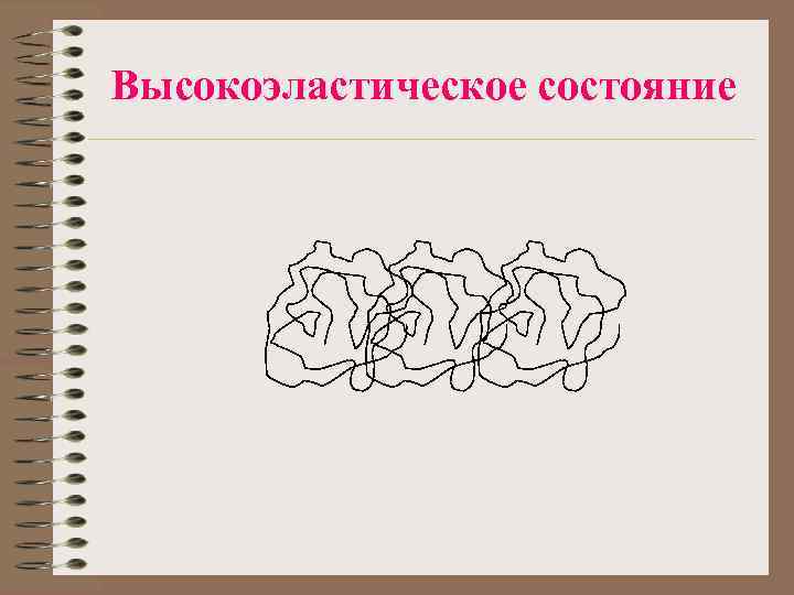 Высокоэластическое состояние 