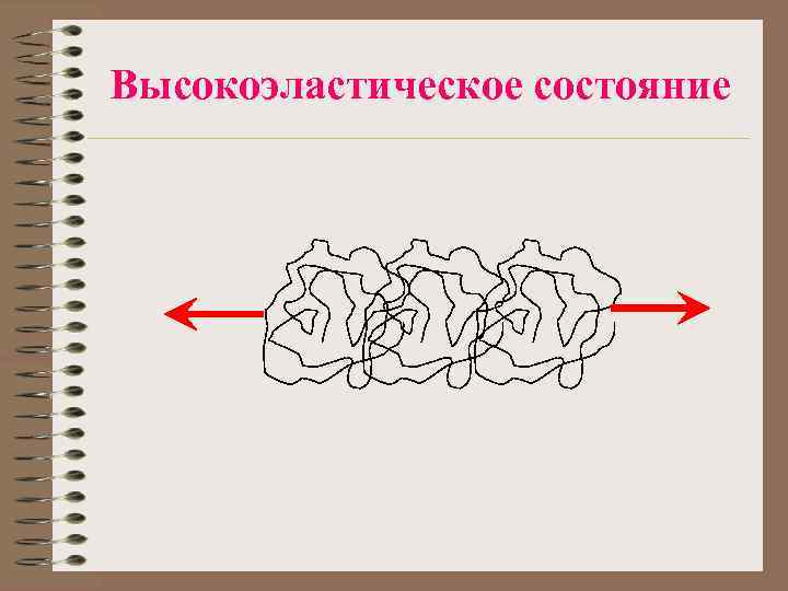 Высокоэластическое состояние 