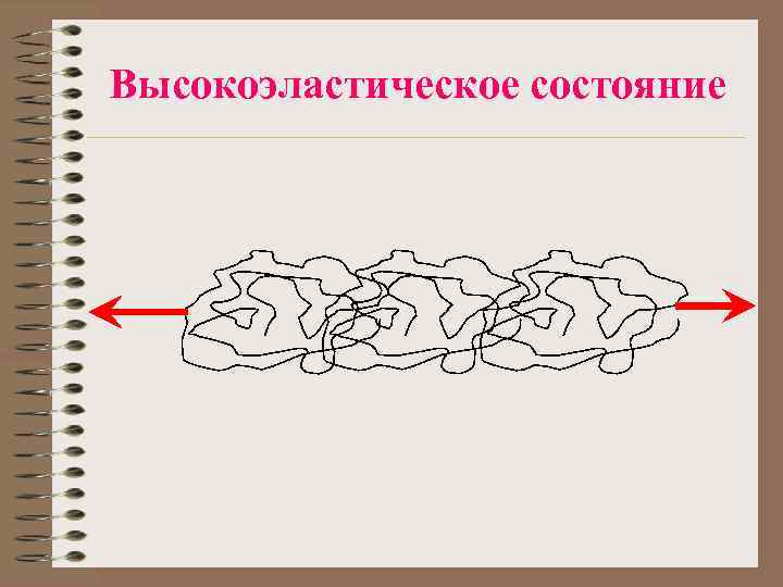 Высокоэластическое состояние 