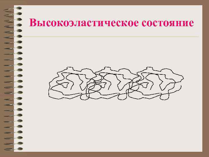 Высокоэластическое состояние 