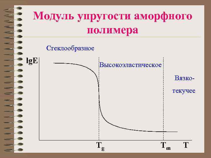 Модуль упругости аморфного полимера Стеклообразное lg. E Высокоэластическое Вязкотекучее Tg Tm T 
