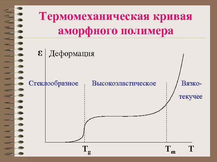 Термомеханическая кривая аморфного полимера ε Деформация Стеклообразное Высокоэластическое Вязкотекучее Tg Tm T 