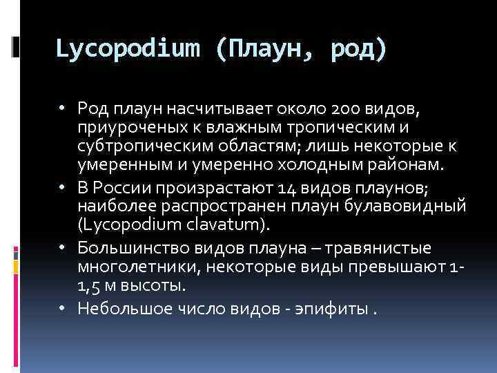 Lycopodium (Плаун, род) • Род плаун насчитывает около 200 видов, приуроченых к влажным тропическим