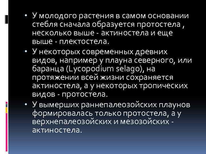  • У молодого растения в самом основании стебля сначала образуется протостела , несколько