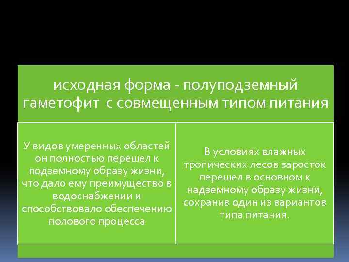 исходная форма - полуподземный гаметофит с совмещенным типом питания У видов умеренных областей В