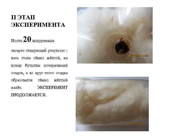 II ЭТАП ЭКСПЕРИМЕНТА После 20 выкуренных сигарет следующий результат : вата стала тёмно жёлтой,