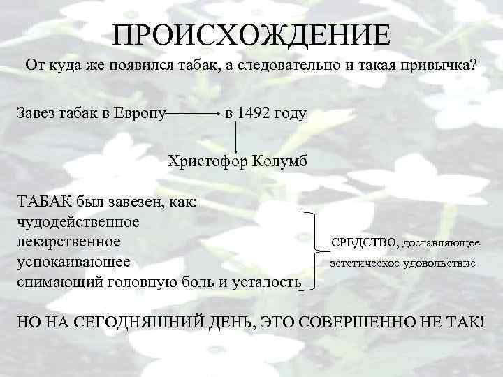 ПРОИСХОЖДЕНИЕ От куда же появился табак, а следовательно и такая привычка? Завез табак в