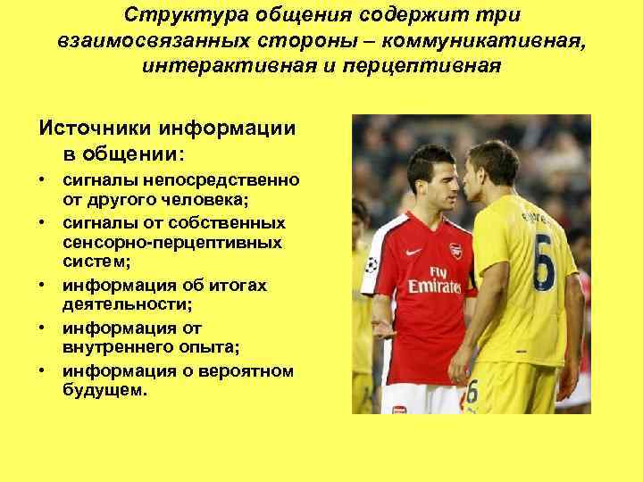 Структура общения содержит три взаимосвязанных стороны – коммуникативная, интерактивная и перцептивная Источники информации в