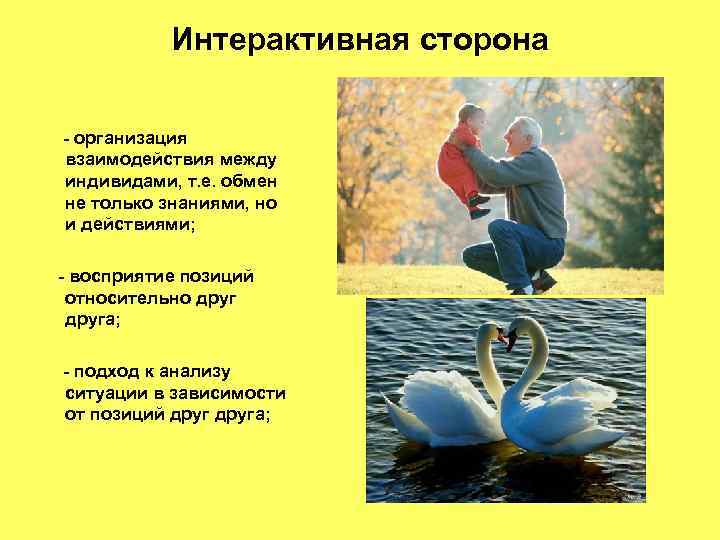 Интерактивная сторона - организация взаимодействия между индивидами, т. е. обмен не только знаниями, но