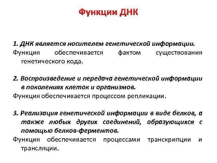Функции ДНК 1. ДНК является носителем генетической информации. Функция обеспечивается фактом существования генетического кода.