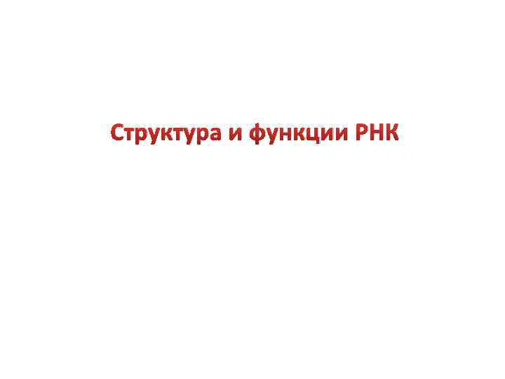 Структура и функции РНК 