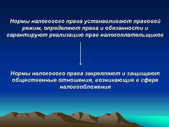 Нормы налогового права устанавливают правовой режим, определяют права и обязанности и гарантируют реализацию прав