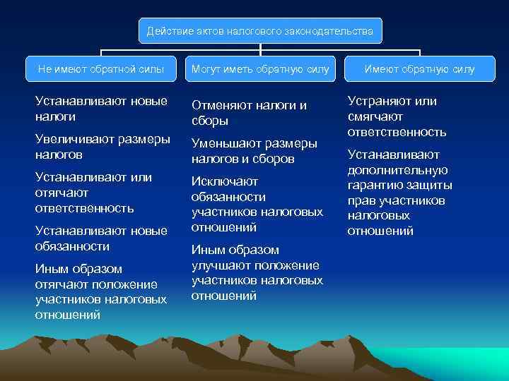 Действие актов налогового законодательства Не имеют обратной силы Могут иметь обратную силу Устанавливают новые