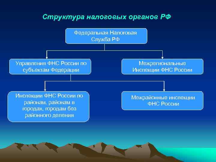Структура налоговых органов РФ Федеральная Налоговая Служба РФ Управления ФНС России по субъектам Федерации