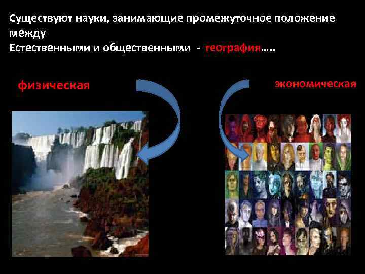Существуют науки, занимающие промежуточное положение между Естественными и общественными - география…. . физическая экономическая