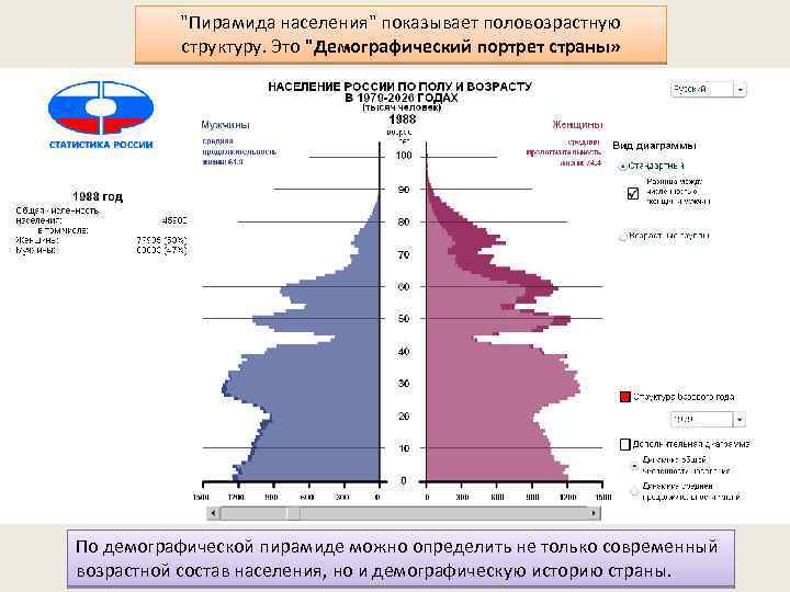 Демографическая ситуация и демографическая политика в россии странах и регионах мира презентация