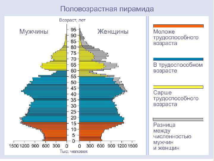 Половозрастной состав населения россии презентация 8 класс