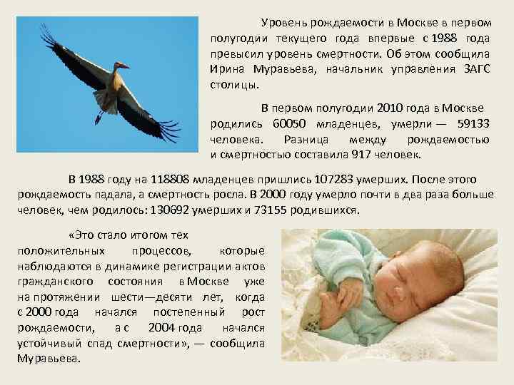 Уровень рождаемости в Москве в первом полугодии текущего года впервые с 1988 года превысил