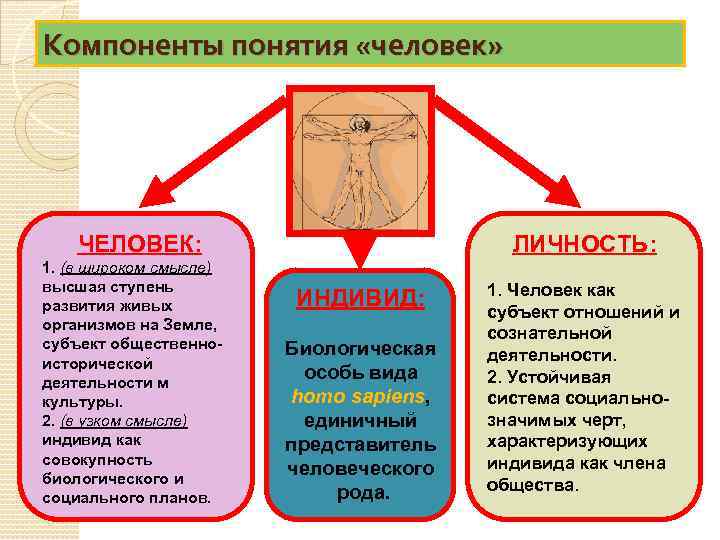 Компоненты понятия «человек» ЧЕЛОВЕК: 1. (в широком смысле) высшая ступень развития живых организмов на