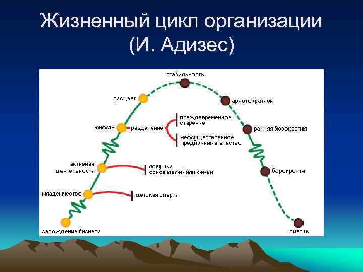 Жизненный цикл организации (И. Адизес) 