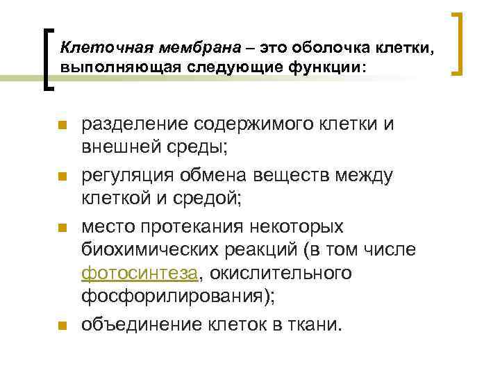 Клеточная мембрана – это оболочка клетки, выполняющая следующие функции: n n разделение содержимого клетки