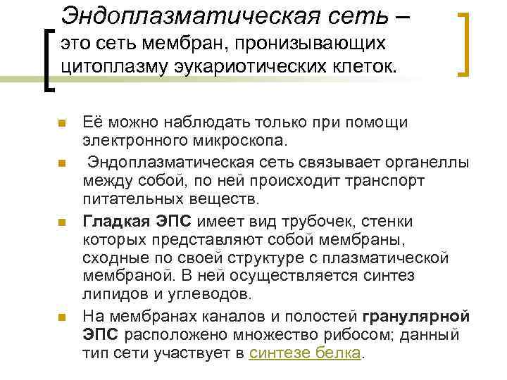 Эндоплазматическая сеть – это сеть мембран, пронизывающих цитоплазму эукариотических клеток. n n Её можно