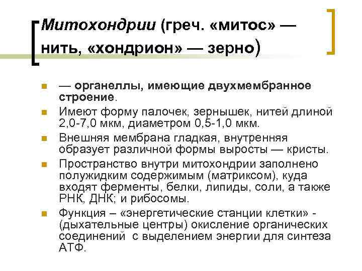 Митохондрии (греч. «митос» — нить, «хондрион» — зерно) n n n — органеллы, имеющие