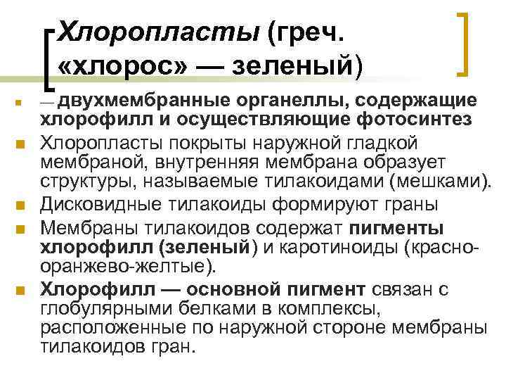Хлоропласты (греч. «хлорос» — зеленый) n n n — двухмембранные органеллы, содержащие хлорофилл и