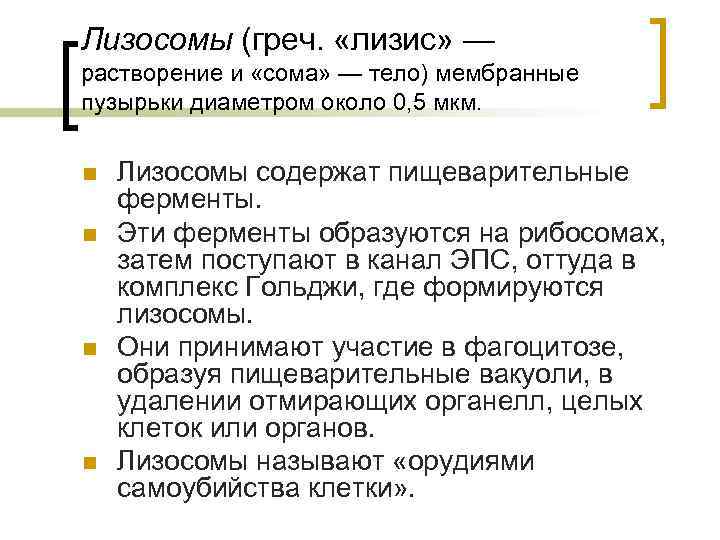 Лизосомы (греч. «лизис» — растворение и «сома» — тело) мембранные пузырьки диаметром около 0,