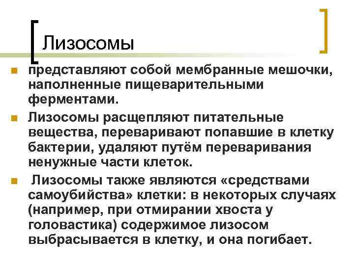 Лизосомы n n n представляют собой мембранные мешочки, наполненные пищеварительными ферментами. Лизосомы расщепляют питательные