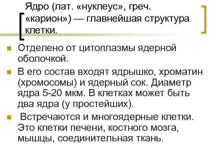 Ядро (лат. «нуклеус» , греч. «карион» ) — главнейшая структура клетки. n n n