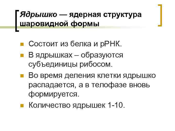 Ядрышко — ядерная структура шаровидной формы n n Состоит из белка и р. РНК.