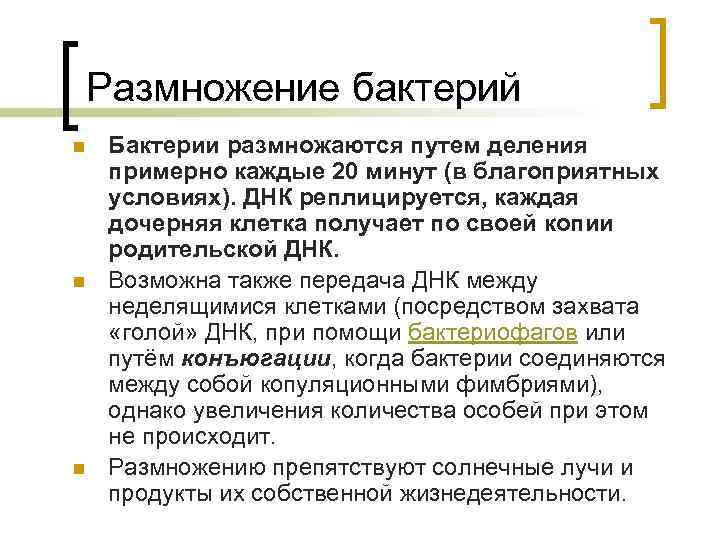 Размножение бактерий n n n Бактерии размножаются путем деления примерно каждые 20 минут (в