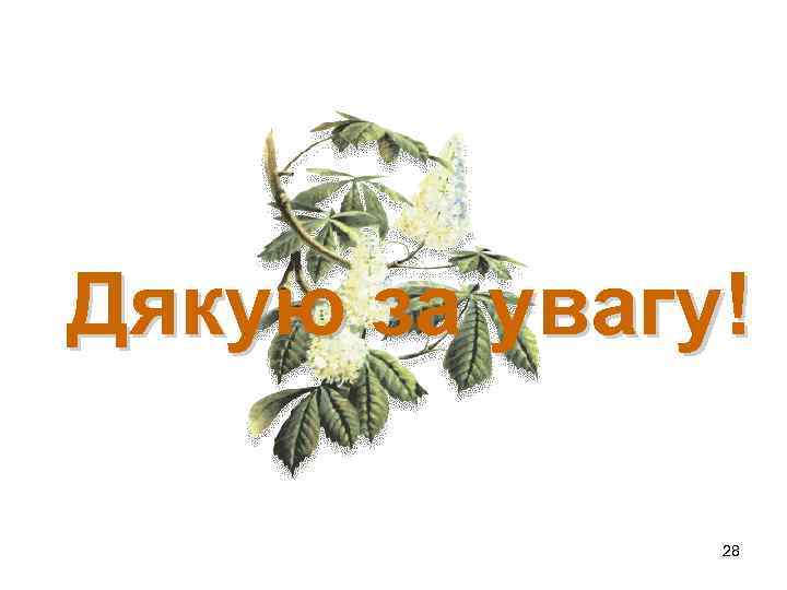 Дякую за увагу! 28 