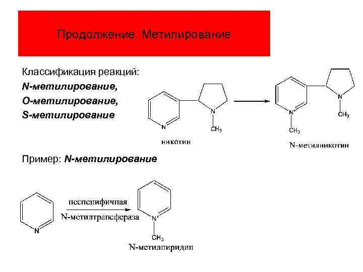 Цикл метилирования схема