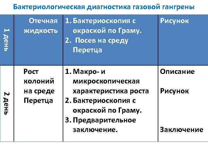 Бактериологическая диагностика газовой гангрены 1 день Отечная 1. Бактериоскопия с жидкость окраской по Граму.